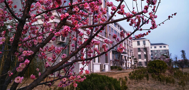 開封大學(xué) - 最美大學(xué)