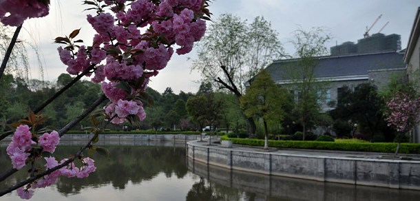 我的大學(xué)-大學(xué)志