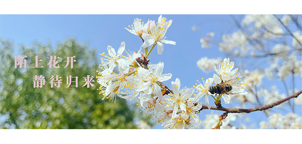 湖南工程學院應(yīng)用技術(shù)學院