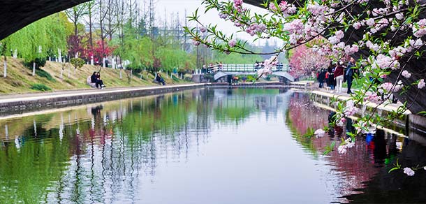 三峽大學