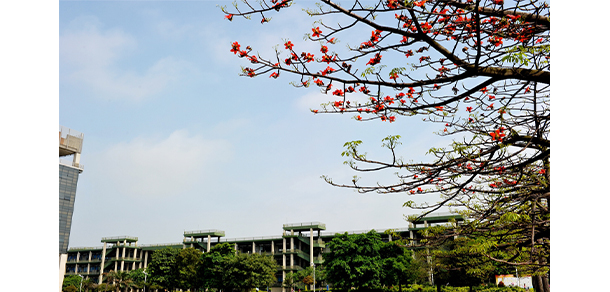 我的大學-大學志