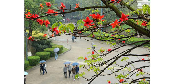 廣東東軟學院