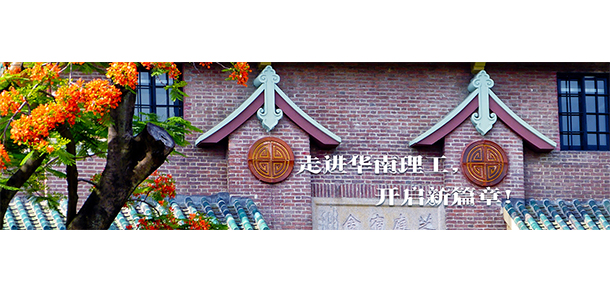 我的大學(xué)-大學(xué)志