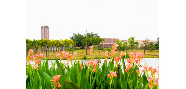 湛江科技學(xué)院 - 最美大學(xué)