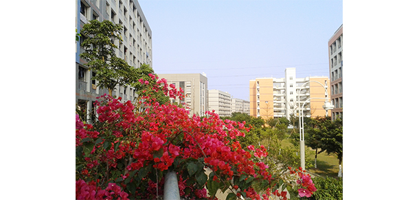 北京理工大學珠海學院 - 最美大學