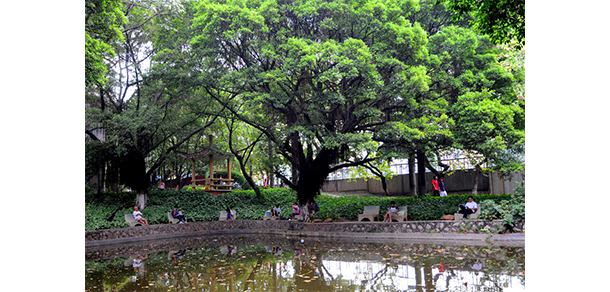 廣東第二師范學(xué)院