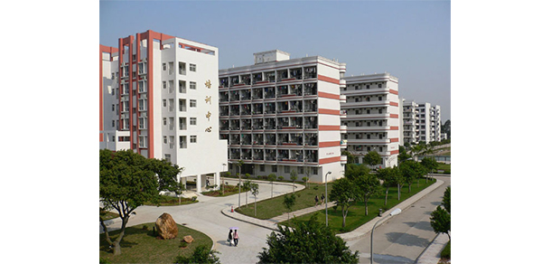 我的大學(xué)-大學(xué)志