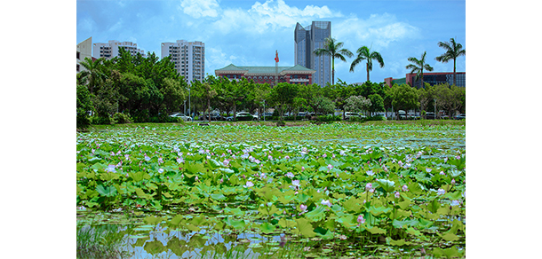 珠海城市職業(yè)技術(shù)學(xué)院 - 最美大學(xué)