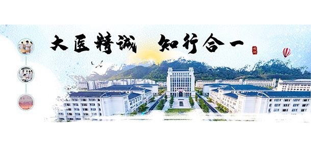 我的大學(xué)-大學(xué)志