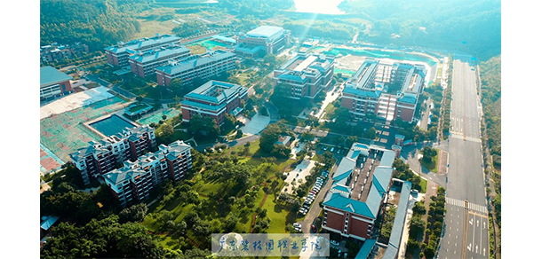 我的大學(xué)-大學(xué)志