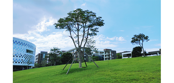 廣東酒店管理職業(yè)技術學院 - 最美大學