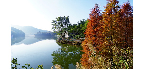 廣州衛(wèi)生職業(yè)技術(shù)學(xué)院