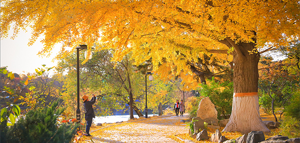 北京大學(xué) - 最美院校