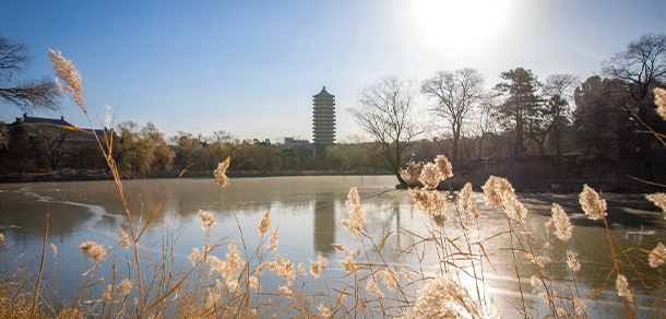 北京大學(xué) - 最美大學(xué)