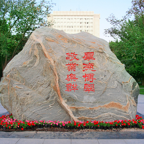 我的大學(xué)