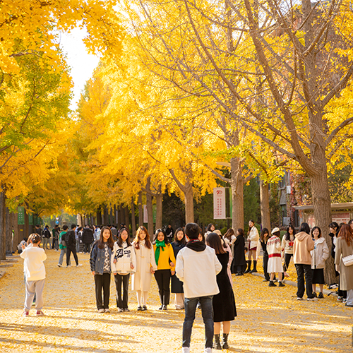 北京林業(yè)大學(xué)-大學(xué)文化