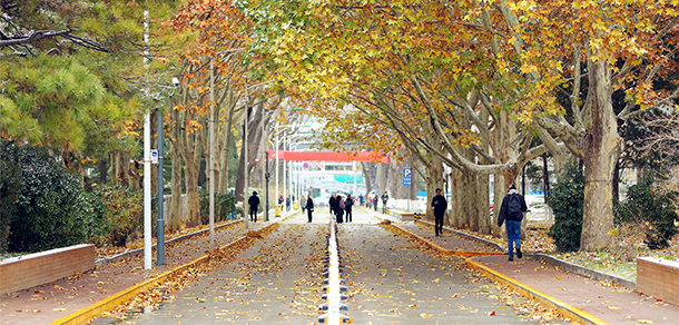 北京師范大學(xué) - 最美大學(xué)