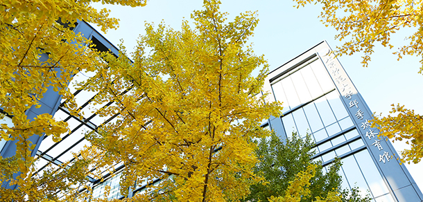 北京師范大學(xué) - 最美大學(xué)