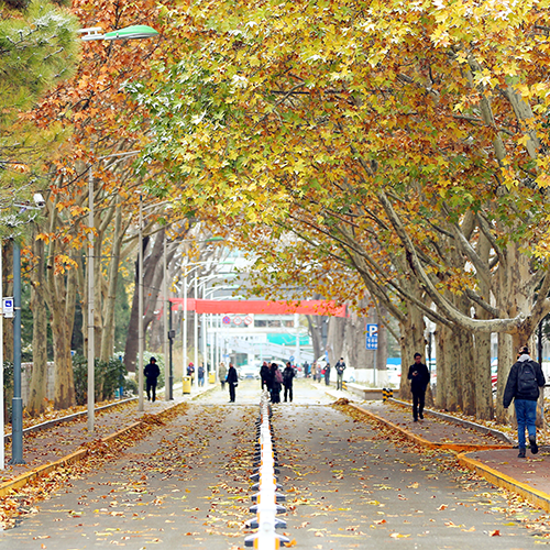 北京師范大學(xué)-最美校園