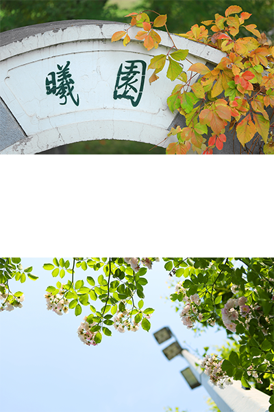 北京師范大學(xué)