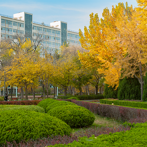 北京語言大學(xué)-最美校園