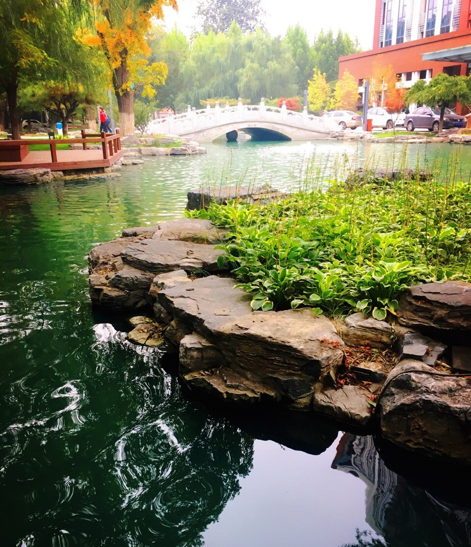 中國傳媒大學-校園風景