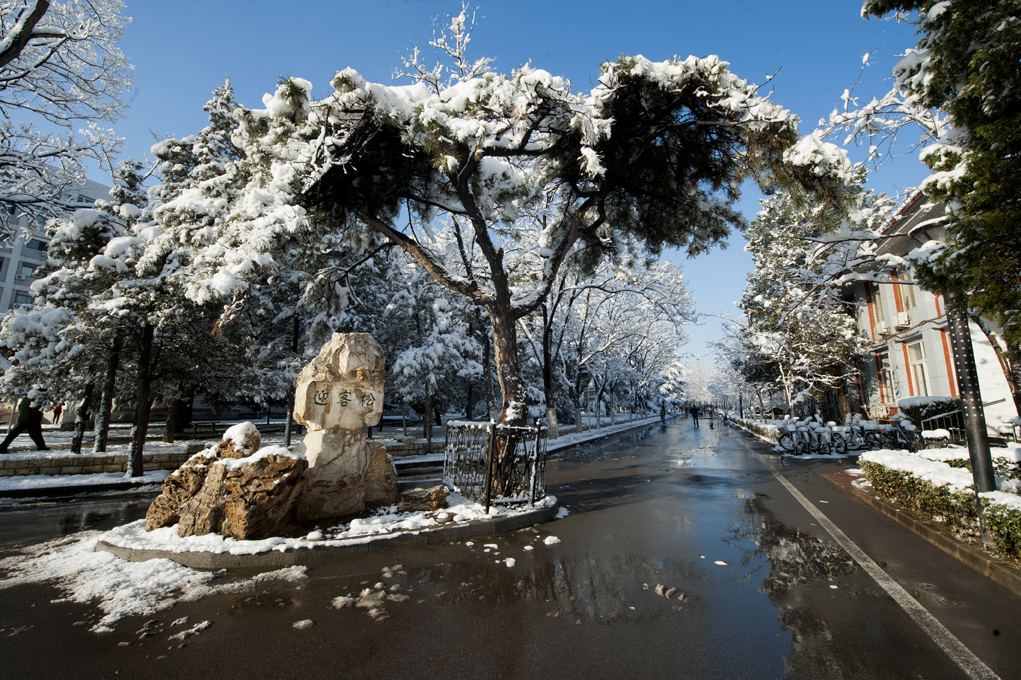 北京交通大學(xué) 早安青春