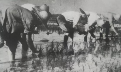  河北電力學(xué)院時(shí)期歷史照片