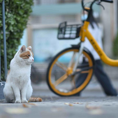 校園資訊