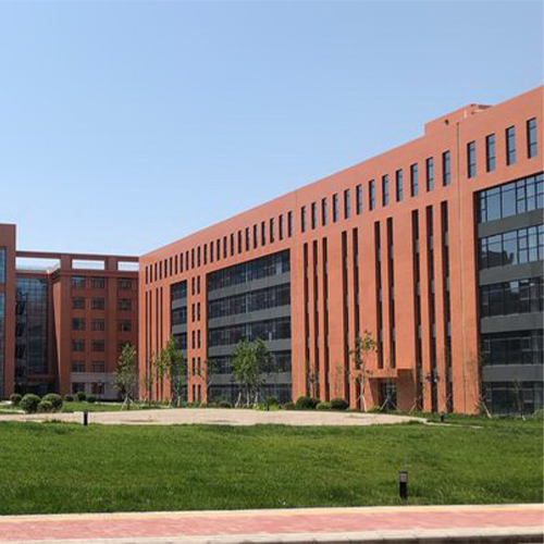 我的大學(xué)