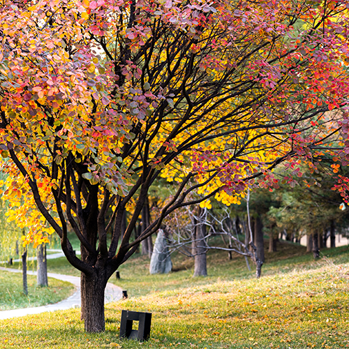 北京理工大學(xué)-大學(xué)文化