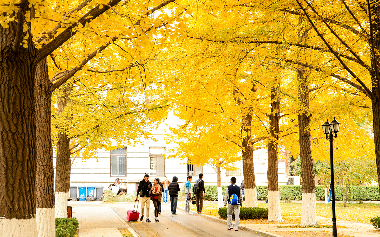 北京科技大學(xué) 我的大學(xué)