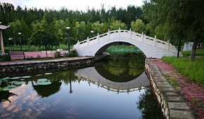 北京經(jīng)濟技術(shù)職業(yè)學院-校園風光