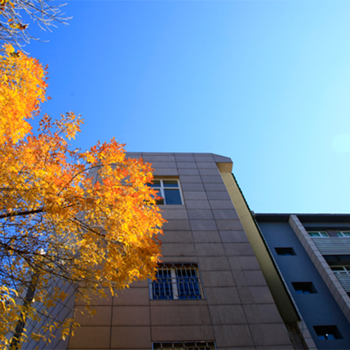 北京青年政治學院 - 書行山海 落筆芳華