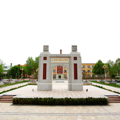 我的大學(xué)