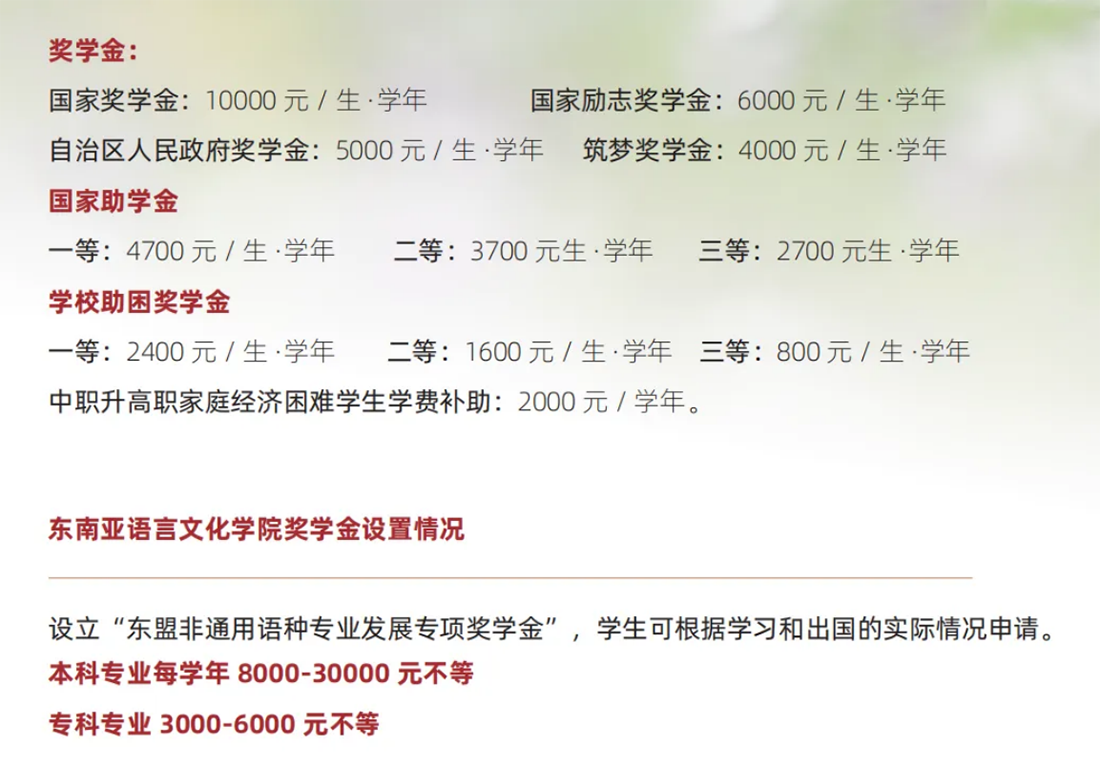 歡迎廣大考生報考廣西外國語學院