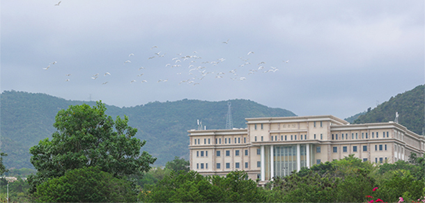 我的大學-大學志