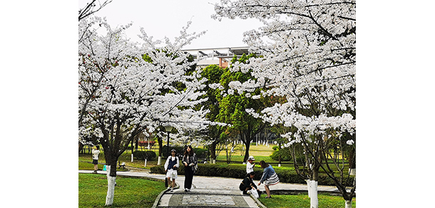 西南政法大學(xué) - 最美大學(xué)