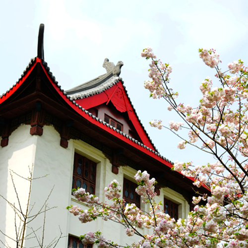 四川大學(xué)-最美校園