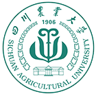 中國最美大學(xué)