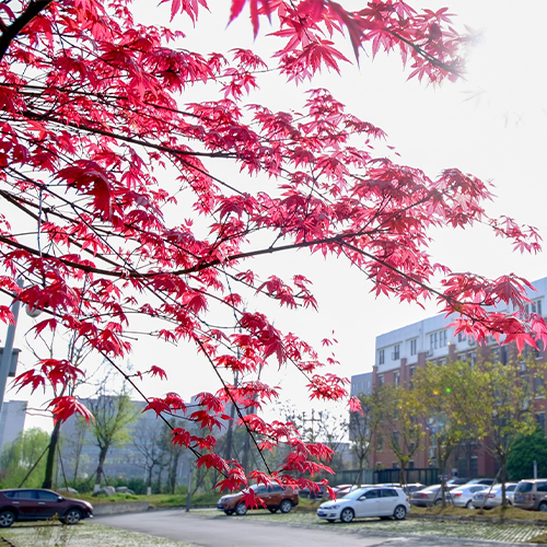 西南交通大學(xué)-最美校園