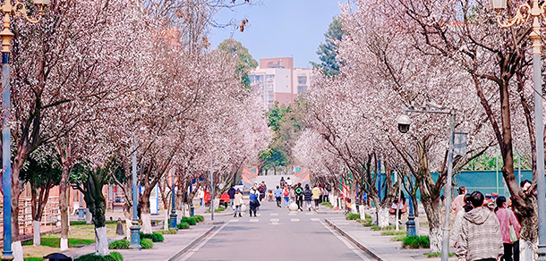 西南民族大學(xué) - 最美大學(xué)