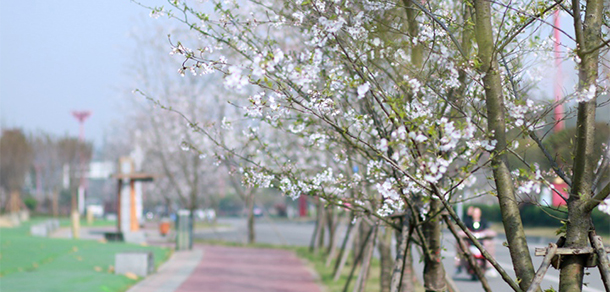 四川工商學(xué)院 - 最美大學(xué)