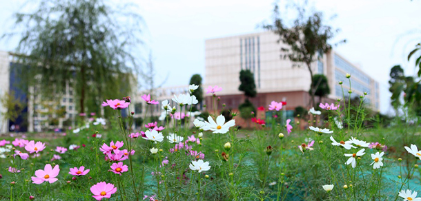 四川工商學(xué)院 - 最美大學(xué)