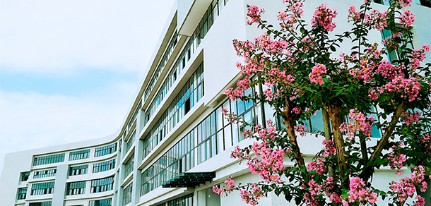 四川文化藝術學院 - 最美大學