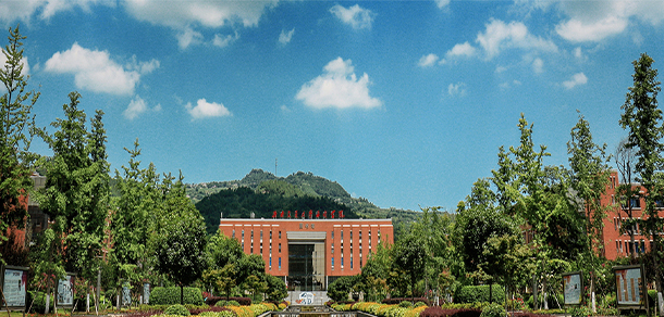 我的大學(xué)-大學(xué)志