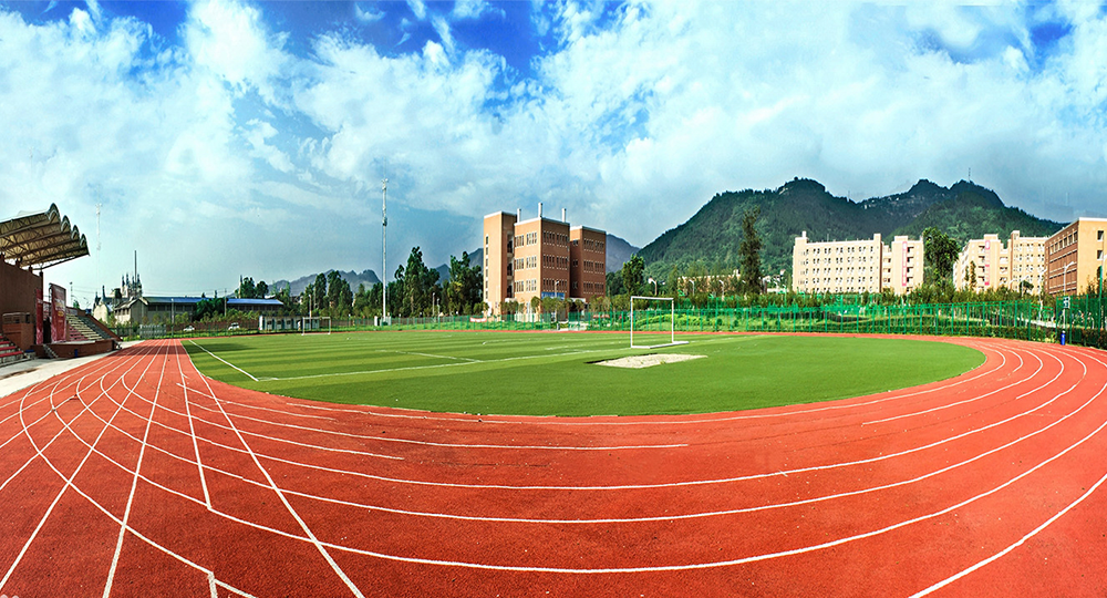 西南交通大學(xué)希望學(xué)院：校名題寫 / 校徽設(shè)計(jì)