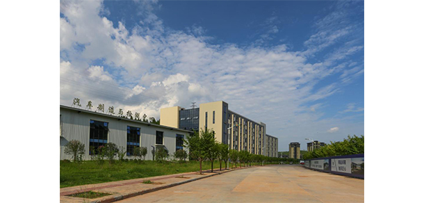 我的大學(xué)-大學(xué)志