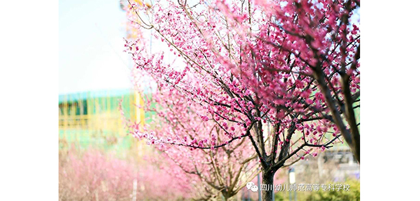 四川幼兒師范高等?？茖W校 - 最美大學