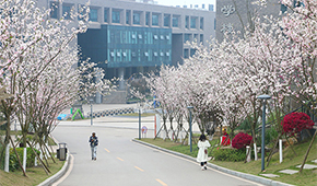 四川衛(wèi)生康復職業(yè)學院-校園風光